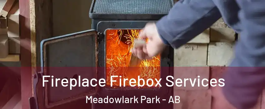 Fireplace Firebox Services Meadowlark Park - AB