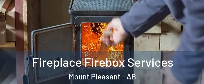  Fireplace Firebox Services Mount Pleasant - AB