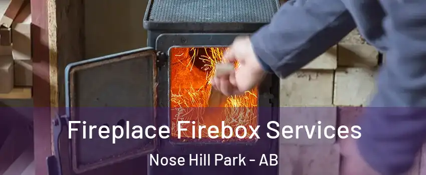  Fireplace Firebox Services Nose Hill Park - AB