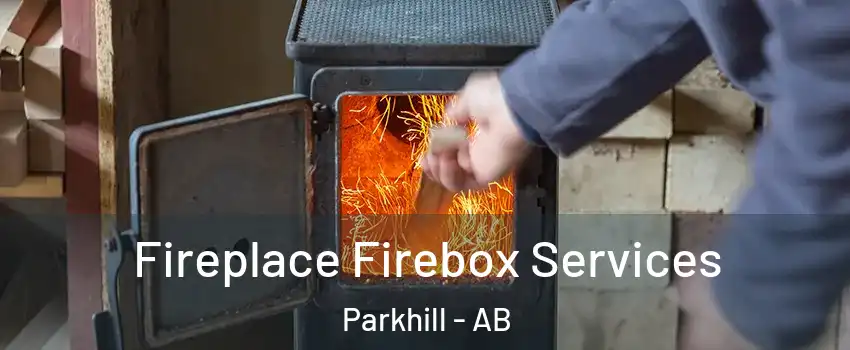  Fireplace Firebox Services Parkhill - AB