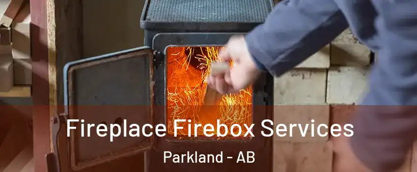  Fireplace Firebox Services Parkland - AB