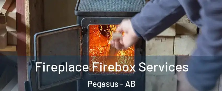  Fireplace Firebox Services Pegasus - AB