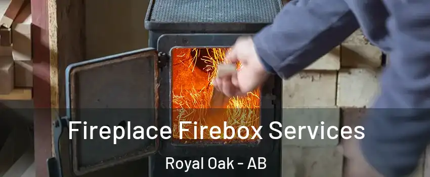  Fireplace Firebox Services Royal Oak - AB