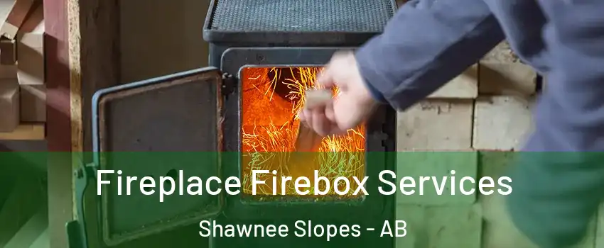  Fireplace Firebox Services Shawnee Slopes - AB