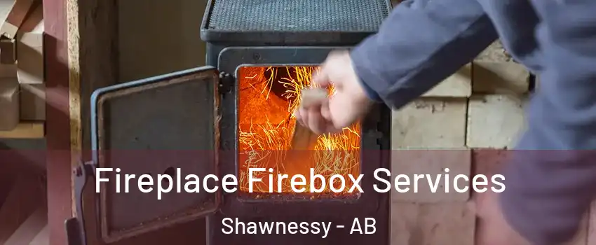  Fireplace Firebox Services Shawnessy - AB