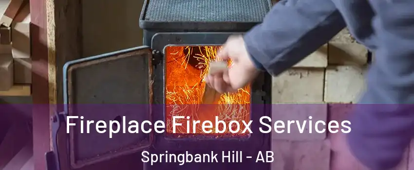  Fireplace Firebox Services Springbank Hill - AB