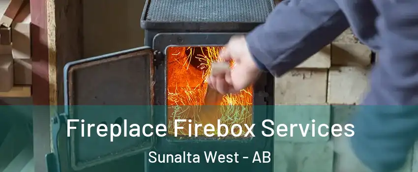  Fireplace Firebox Services Sunalta West - AB