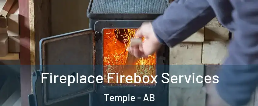  Fireplace Firebox Services Temple - AB
