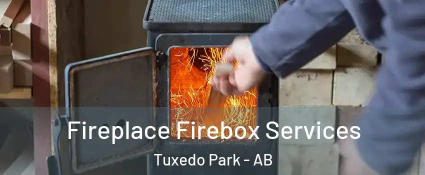  Fireplace Firebox Services Tuxedo Park - AB