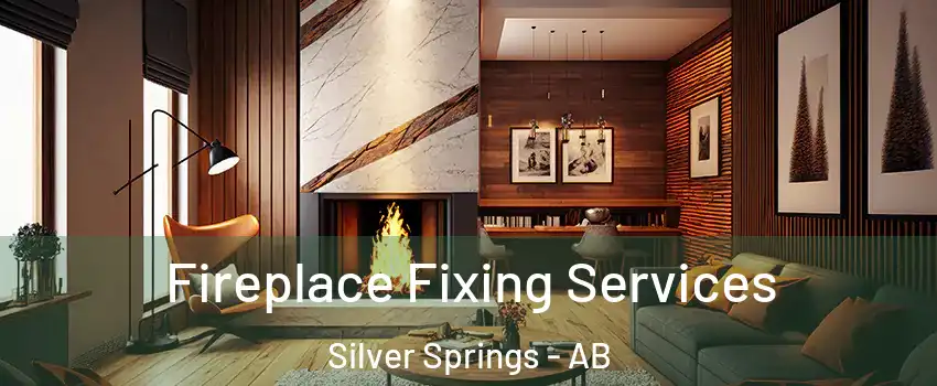  Fireplace Fixing Services Silver Springs - AB