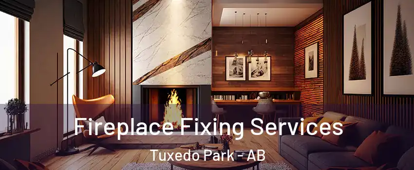  Fireplace Fixing Services Tuxedo Park - AB