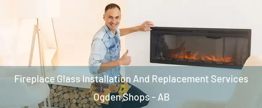  Fireplace Glass Installation And Replacement Services Ogden Shops - AB