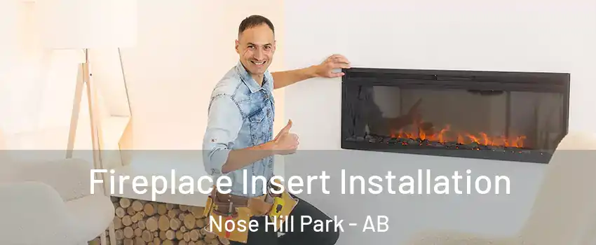 Fireplace Insert Installation Nose Hill Park - AB