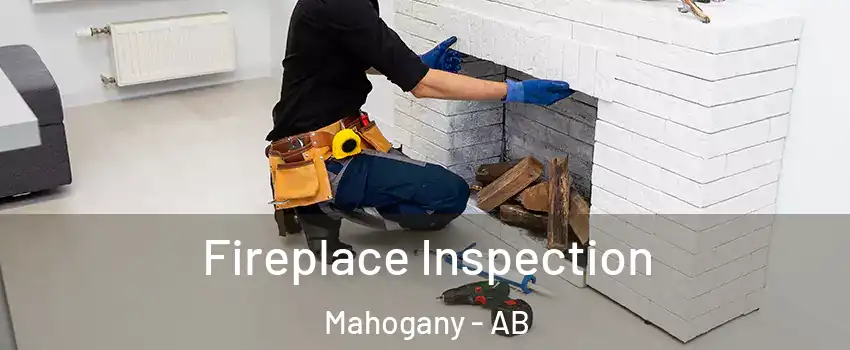  Fireplace Inspection Mahogany - AB