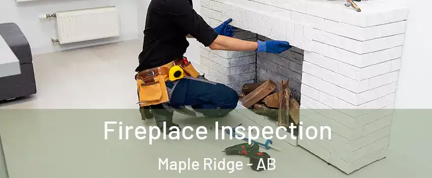  Fireplace Inspection Maple Ridge - AB