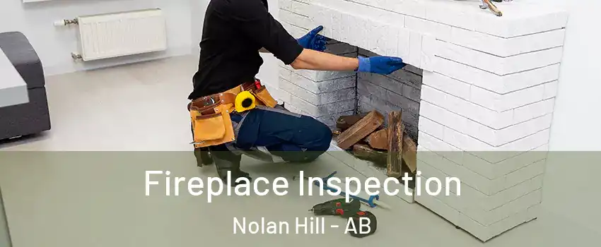  Fireplace Inspection Nolan Hill - AB