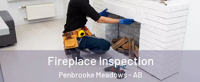  Fireplace Inspection Penbrooke Meadows - AB