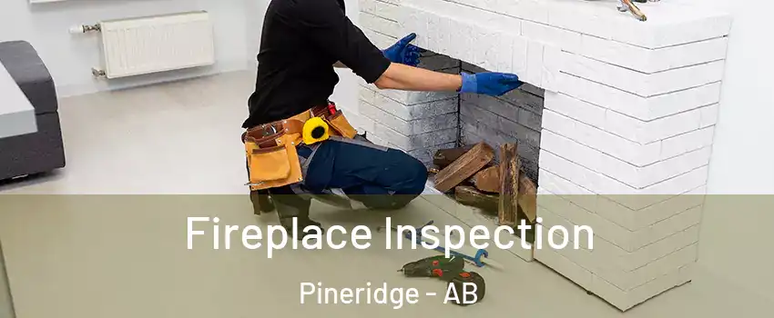  Fireplace Inspection Pineridge - AB