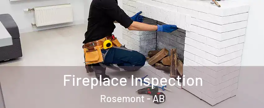  Fireplace Inspection Rosemont - AB