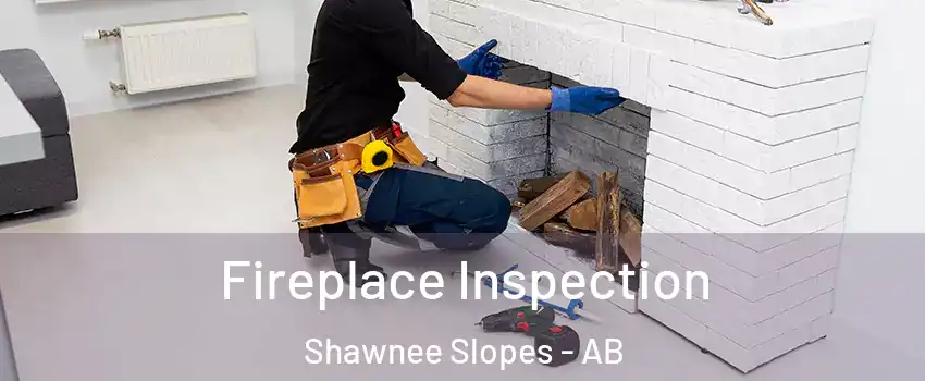  Fireplace Inspection Shawnee Slopes - AB