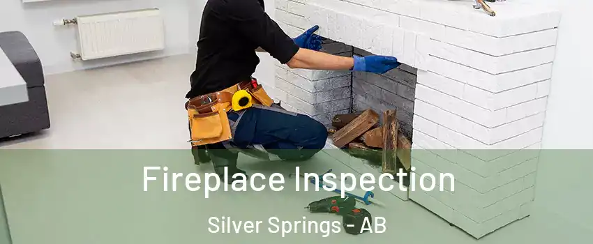  Fireplace Inspection Silver Springs - AB