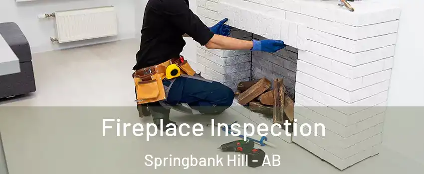  Fireplace Inspection Springbank Hill - AB