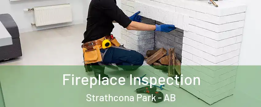 Fireplace Inspection Strathcona Park - AB