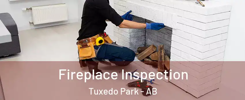  Fireplace Inspection Tuxedo Park - AB