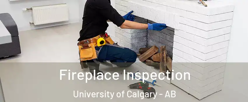  Fireplace Inspection University of Calgary - AB