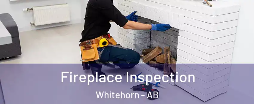  Fireplace Inspection Whitehorn - AB