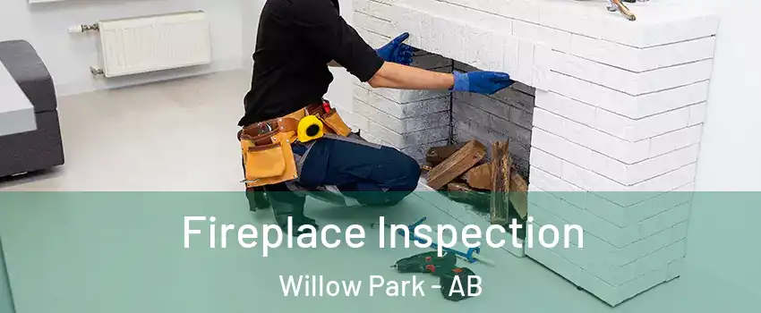  Fireplace Inspection Willow Park - AB