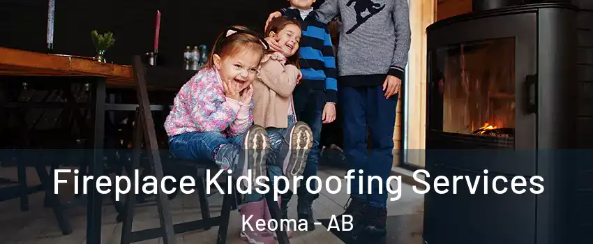  Fireplace Kidsproofing Services Keoma - AB