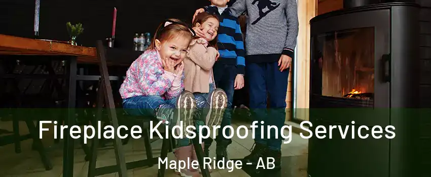  Fireplace Kidsproofing Services Maple Ridge - AB