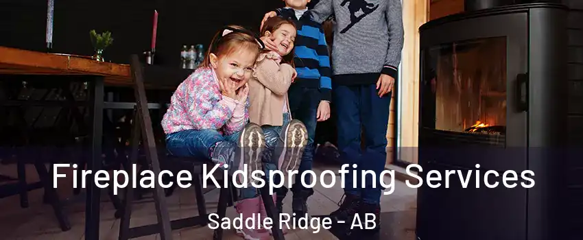  Fireplace Kidsproofing Services Saddle Ridge - AB