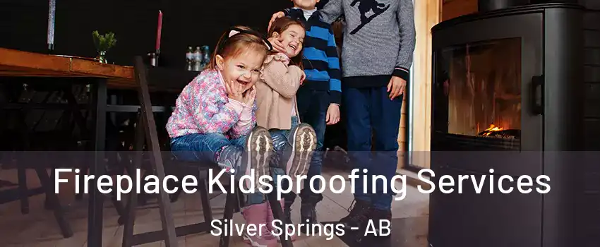  Fireplace Kidsproofing Services Silver Springs - AB