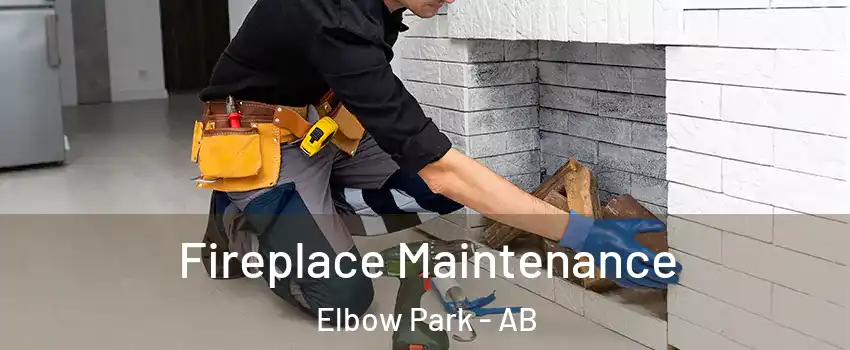  Fireplace Maintenance Elbow Park - AB