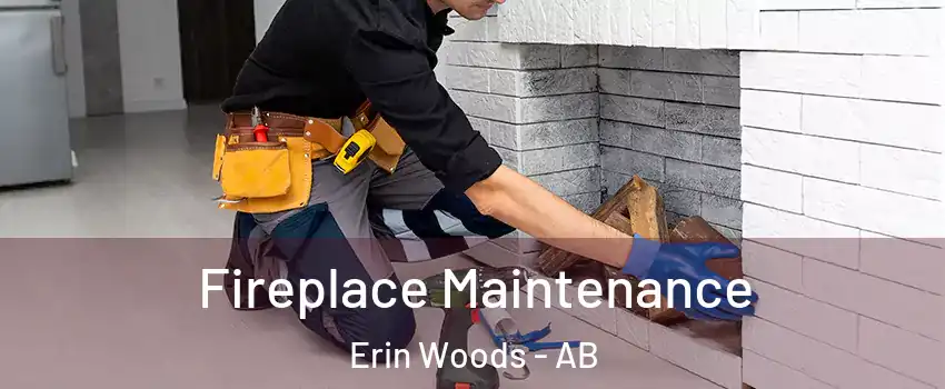  Fireplace Maintenance Erin Woods - AB