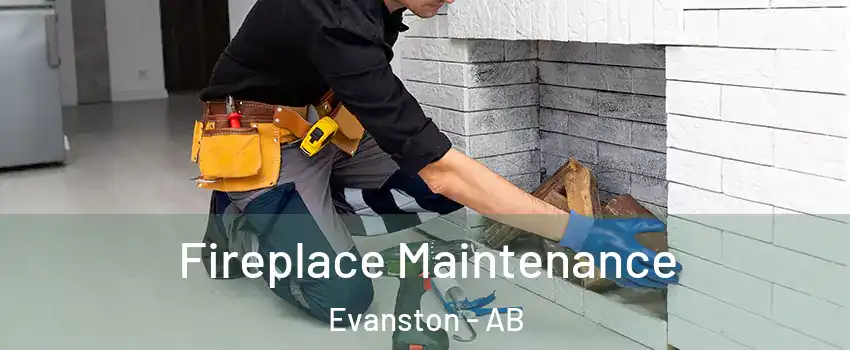  Fireplace Maintenance Evanston - AB