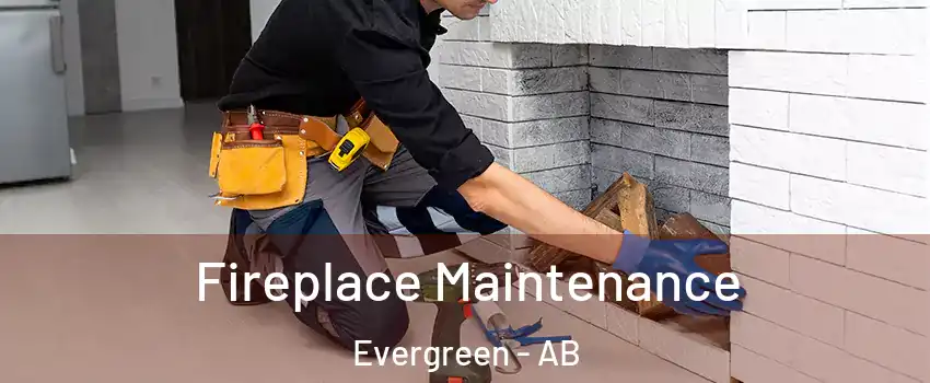 Fireplace Maintenance Evergreen - AB