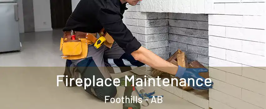  Fireplace Maintenance Foothills - AB