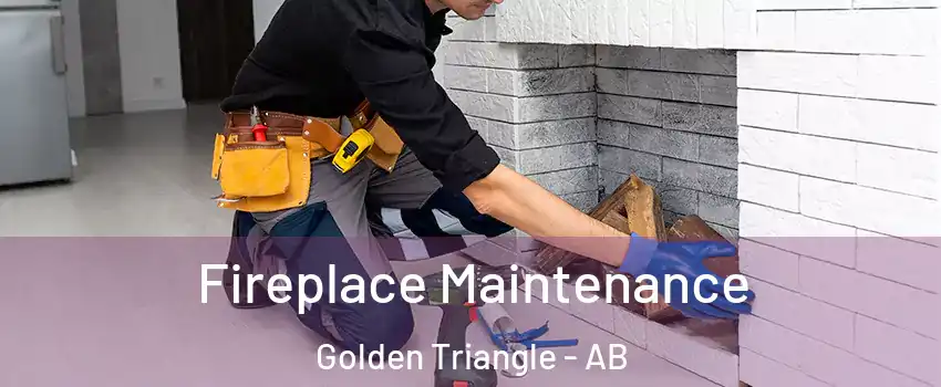  Fireplace Maintenance Golden Triangle - AB