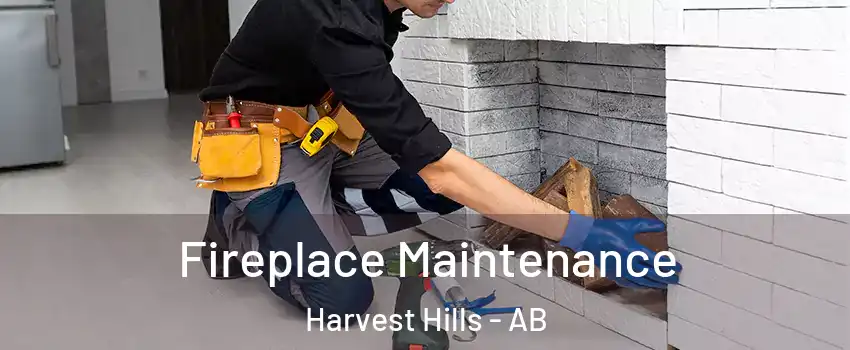  Fireplace Maintenance Harvest Hills - AB