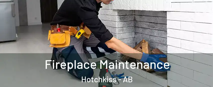  Fireplace Maintenance Hotchkiss - AB