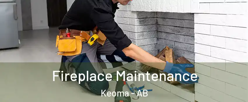  Fireplace Maintenance Keoma - AB