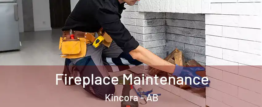  Fireplace Maintenance Kincora - AB