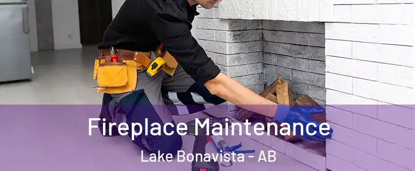  Fireplace Maintenance Lake Bonavista - AB