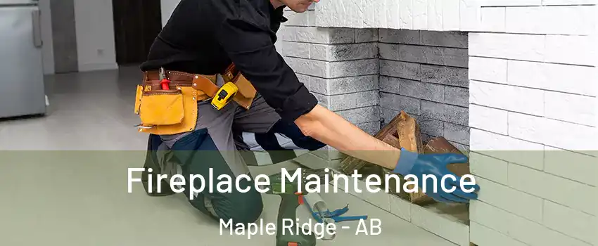  Fireplace Maintenance Maple Ridge - AB