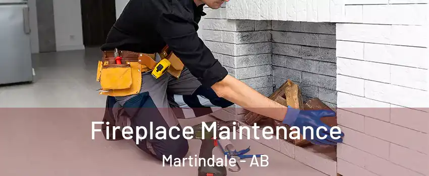  Fireplace Maintenance Martindale - AB