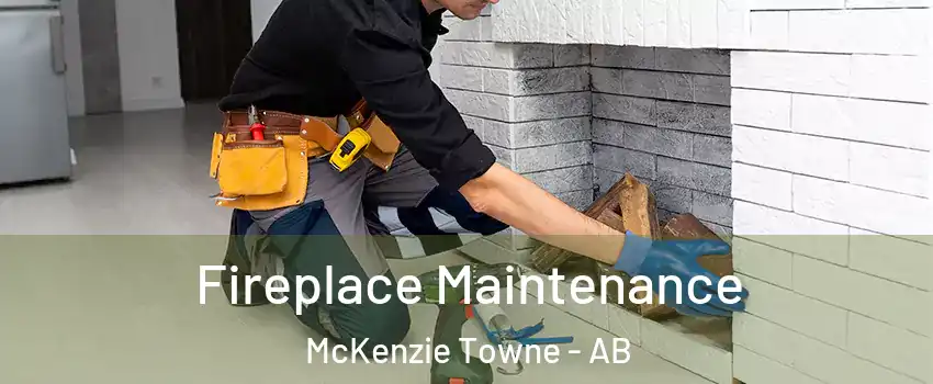  Fireplace Maintenance McKenzie Towne - AB