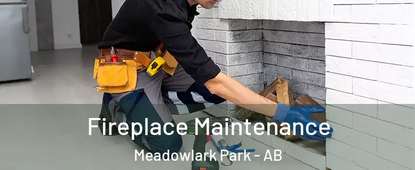  Fireplace Maintenance Meadowlark Park - AB